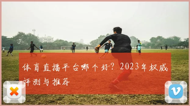 体育直播平台哪个好？2023年权威评测与推荐
